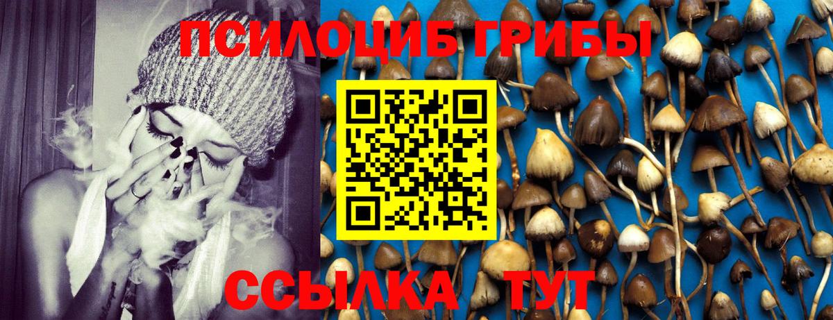 Галлюциногенные грибы мицелий  Галлюциногенные грибы GOLDEN TEACHER  Сегежа  Вход с VPN 